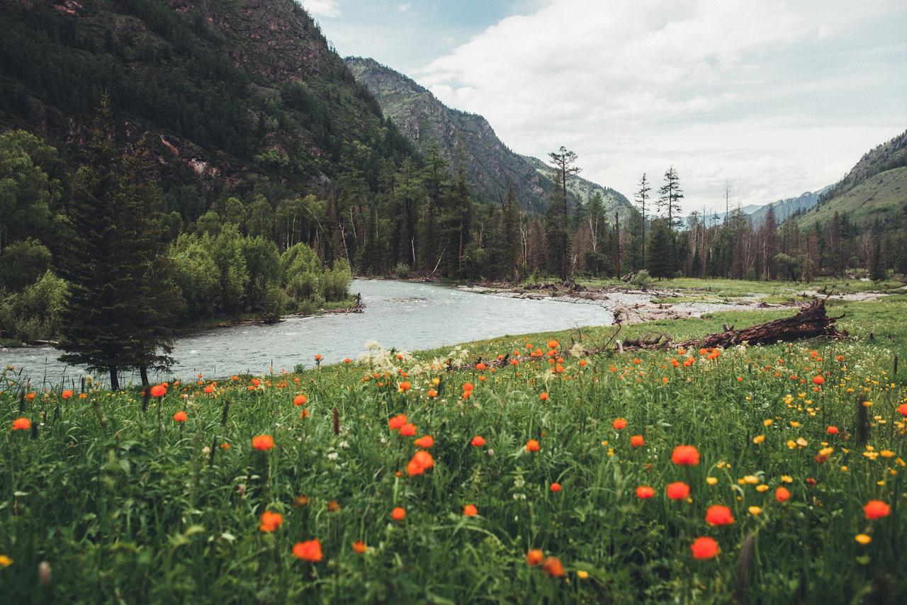 Пеший маршрут в Горный Алтай 2025