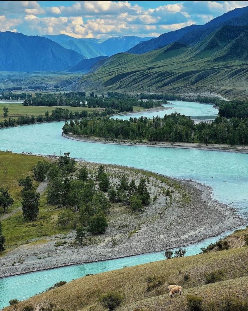 окрестность усадьбы "Ижемди" 