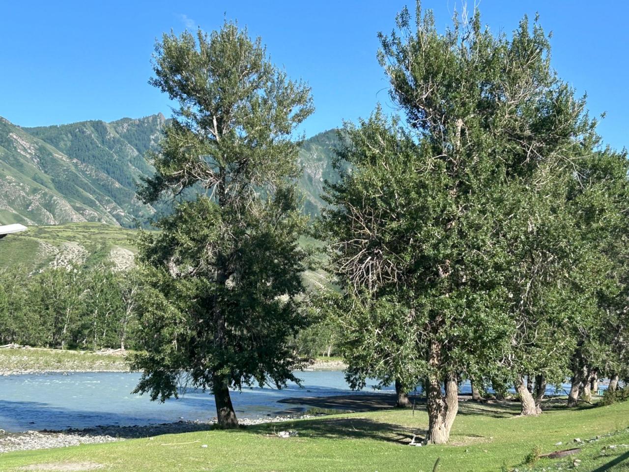 окрестность усадьбы "Ижемди" 