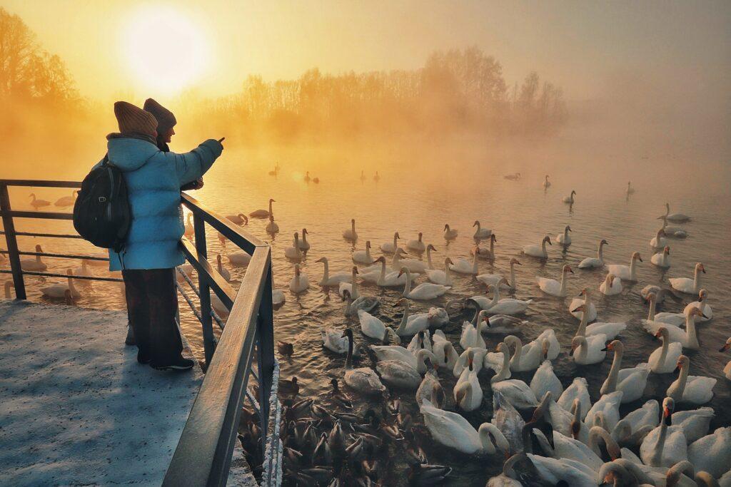 Экскурсия на Лебединое озеро