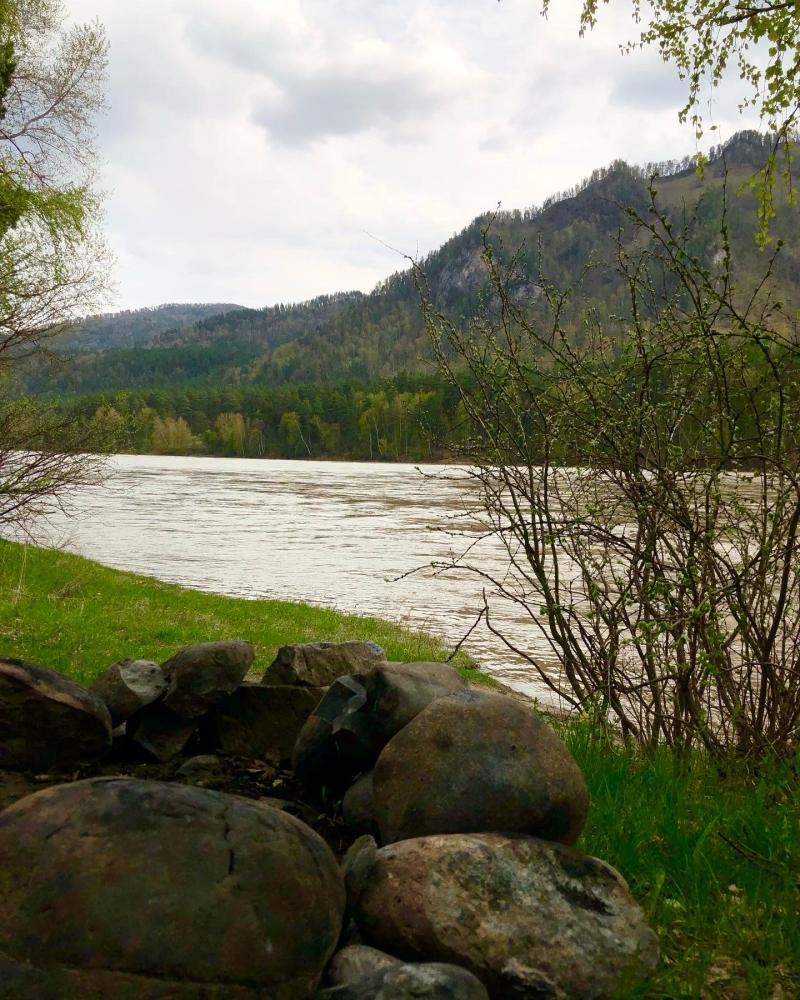 Берег Катуни. 