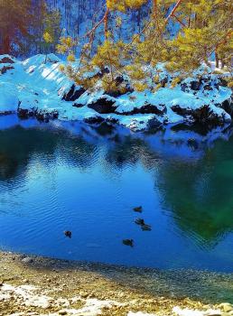 Экскурсия на Голубые озера Алтая зимой