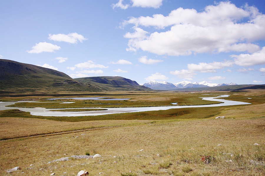 На плато Укок