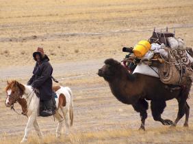 Джип-тур "Экспедиция в Монголию"