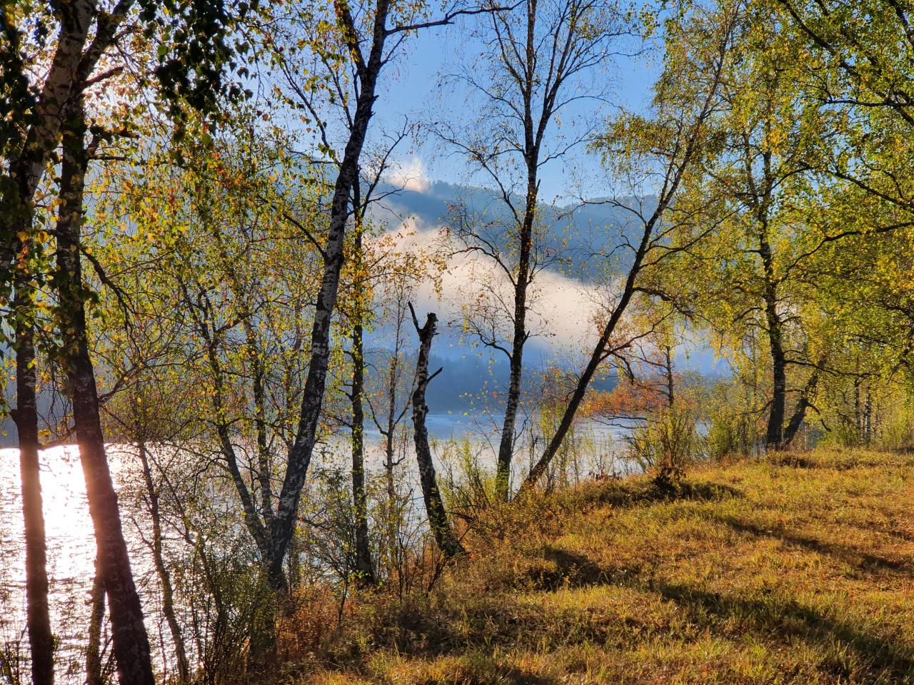 Отдых на Алтае у реки Катунь 