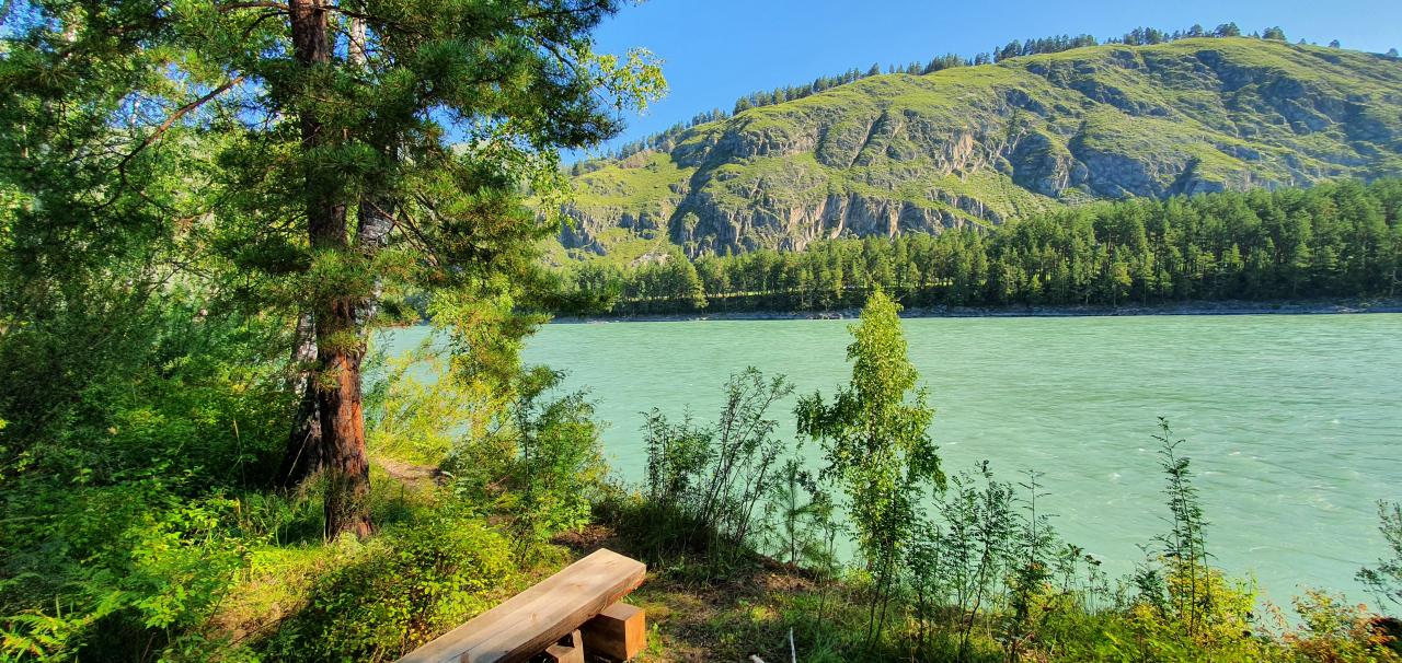 База отдыха Алтая с видом на Катунь 