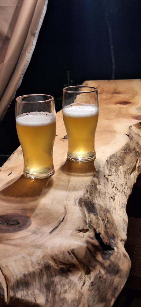 База отдыха  "Altai ForRest" у реки Катунь