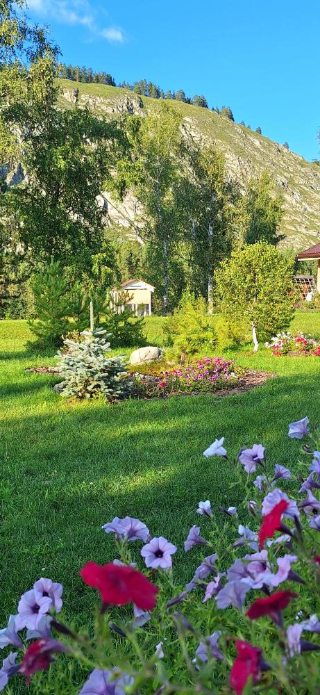 База отдыха  "Altai ForRest" у реки Катунь