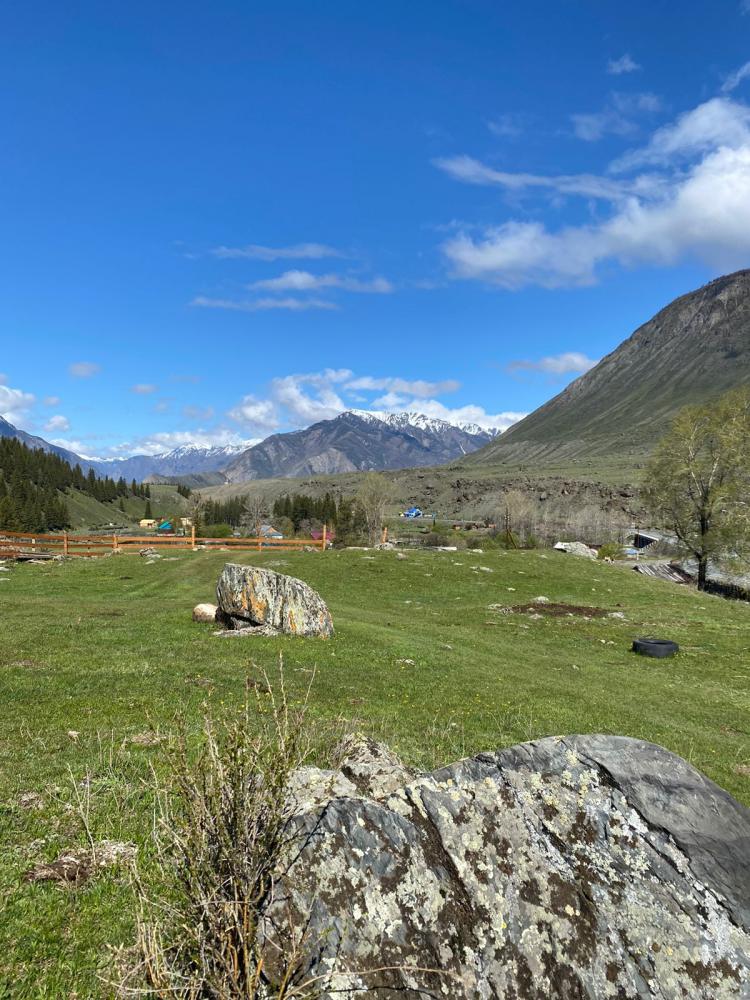 Чибит база отдыхы "Ранетка" Алтай