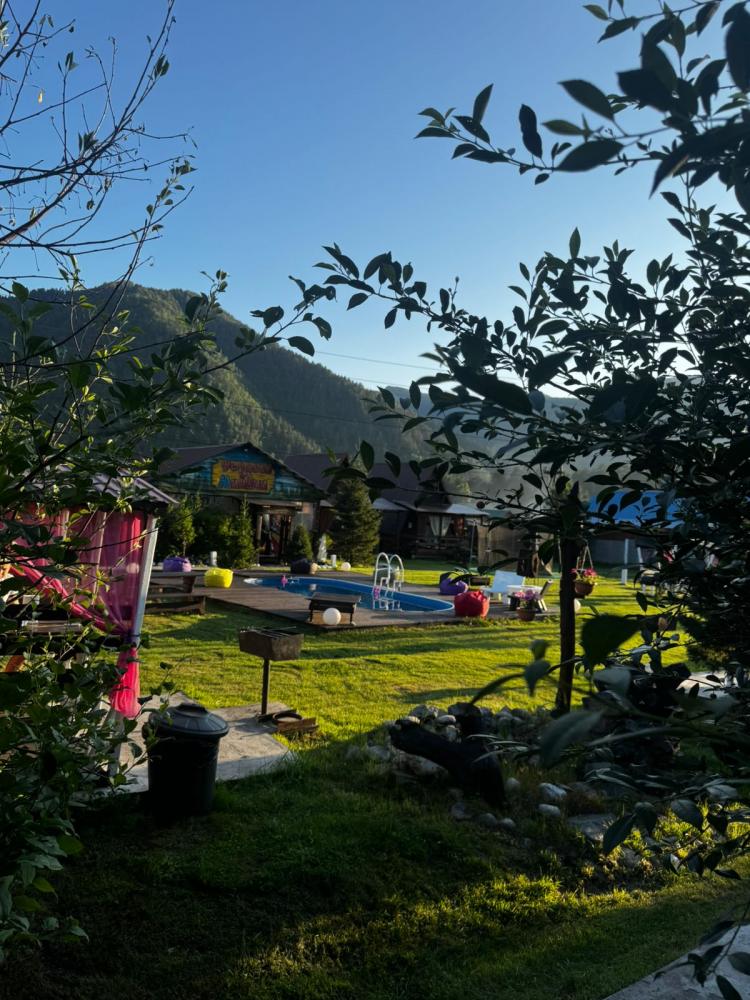 Турбаза "У Мишани" с бассейном на Алтае в Чепоше