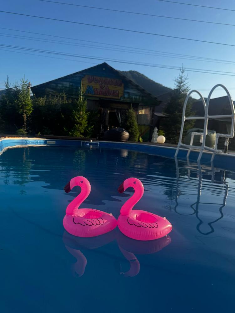 Турбаза "У Мишани" с бассейном на Алтае в Чепоше