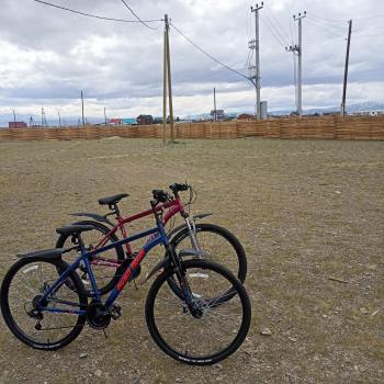 База отдыха с прокатом велосипедов в Горном Алтае