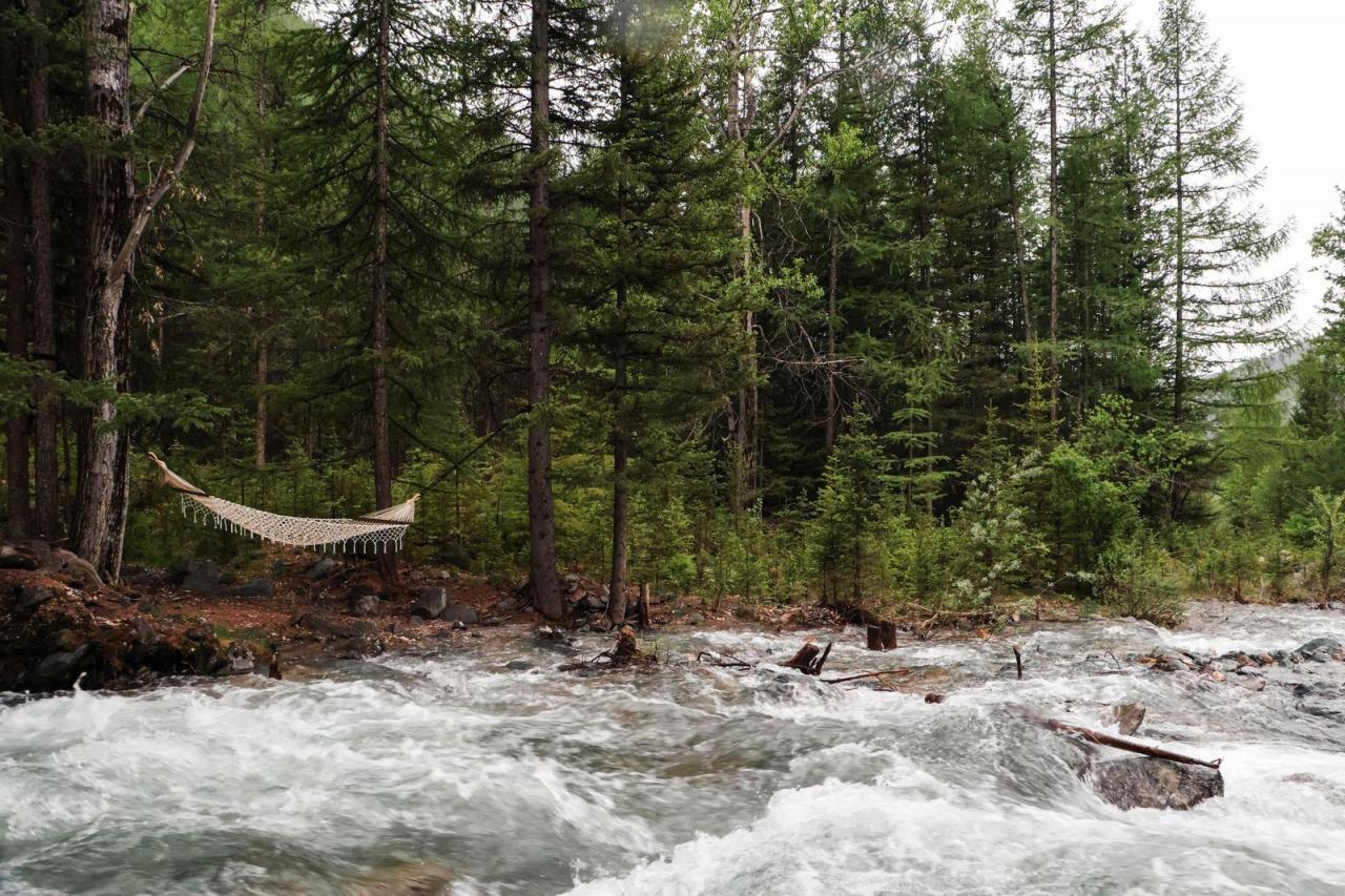 Территория отеля