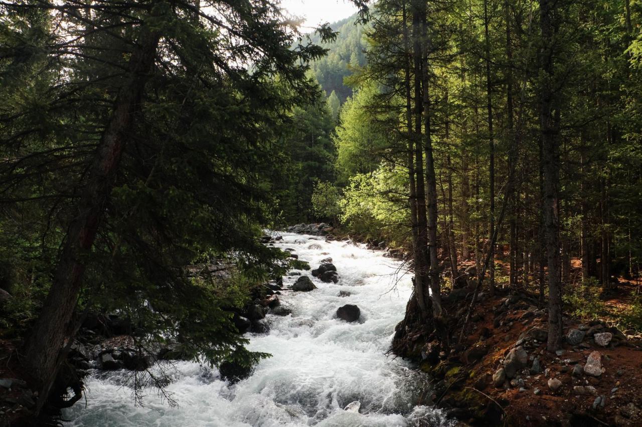 Территория отеля