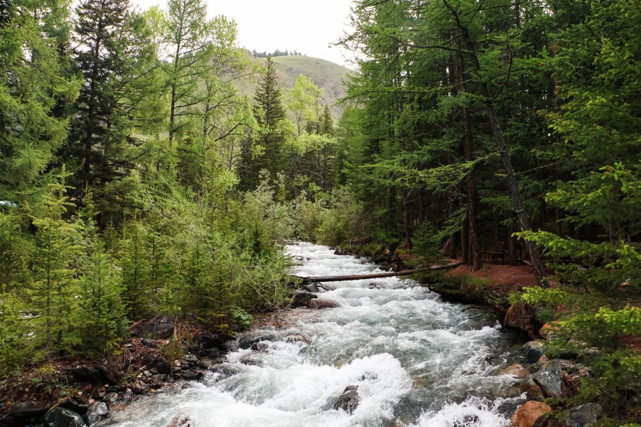 Территория отеля