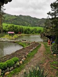 Форелевые озера в 10 км от Чемала