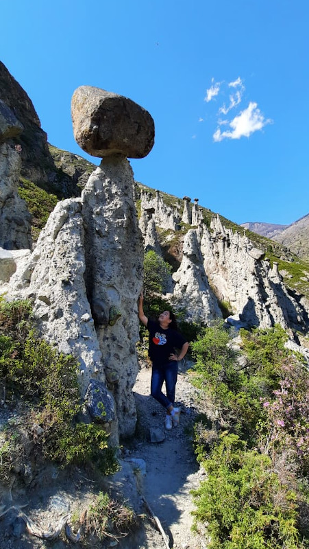 Каменные грибы на Алтае