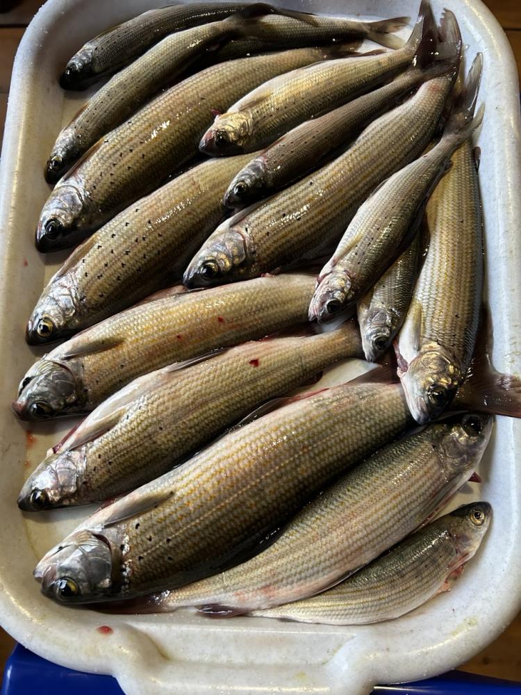 Кафе на территориии питание на заказ