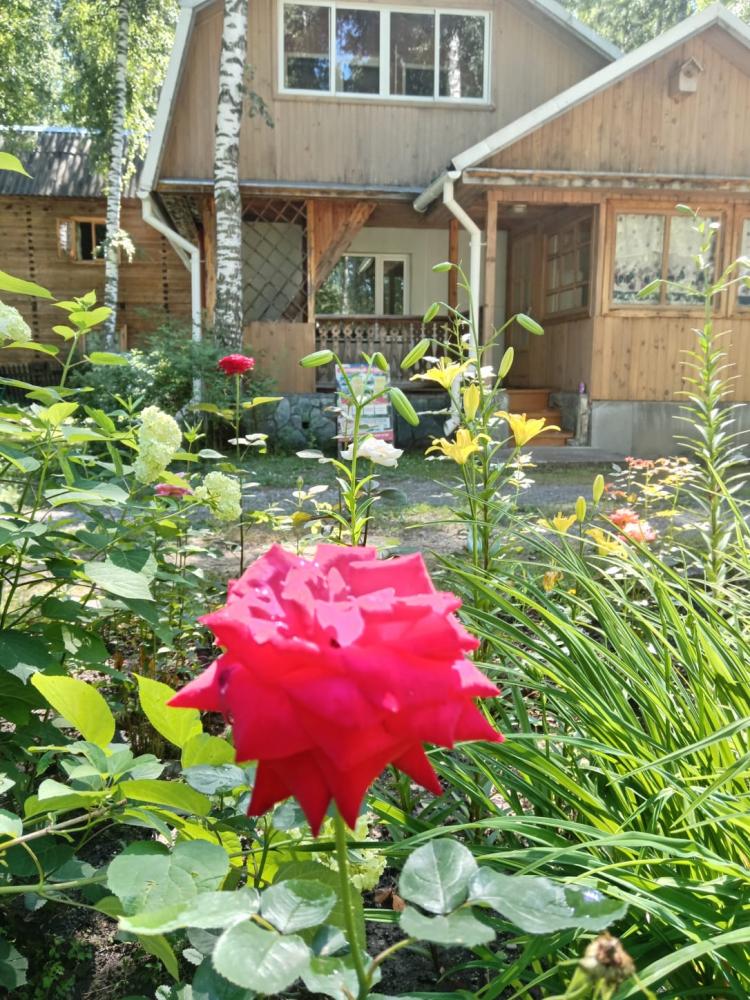 Снять гостевой дом на озере Ая для отдыха