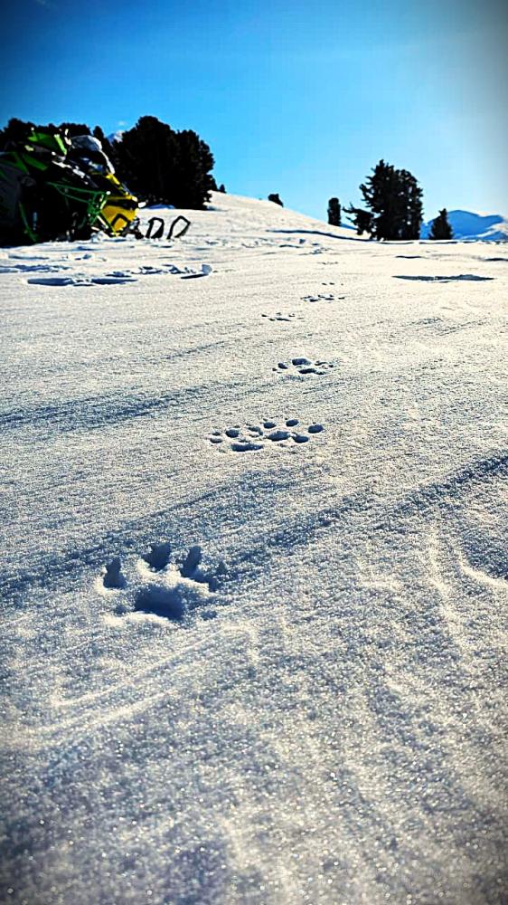 Зимние экскурсии