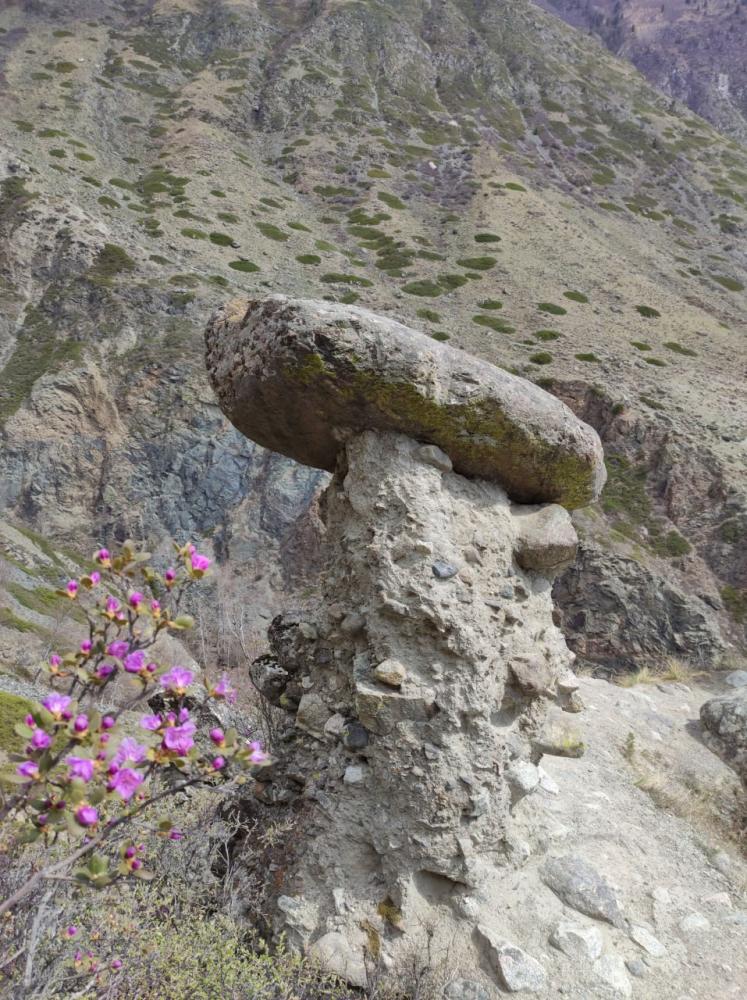 Тур в долину Чулышмана на Алтае весной 2024