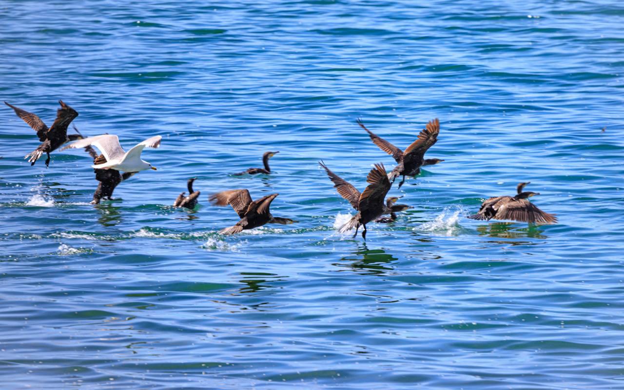 Туры в Монголию на озеро Дургун-Нуур