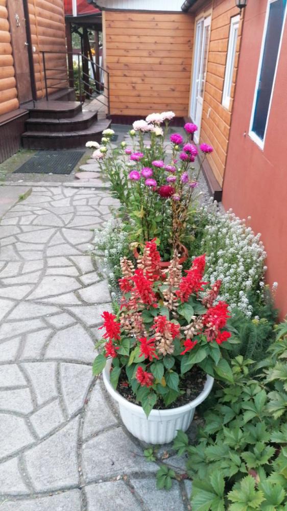 Гостевой дом "У Ирины у камина" в Чемале