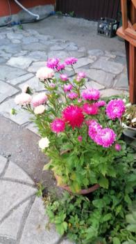 Гостевой дом 