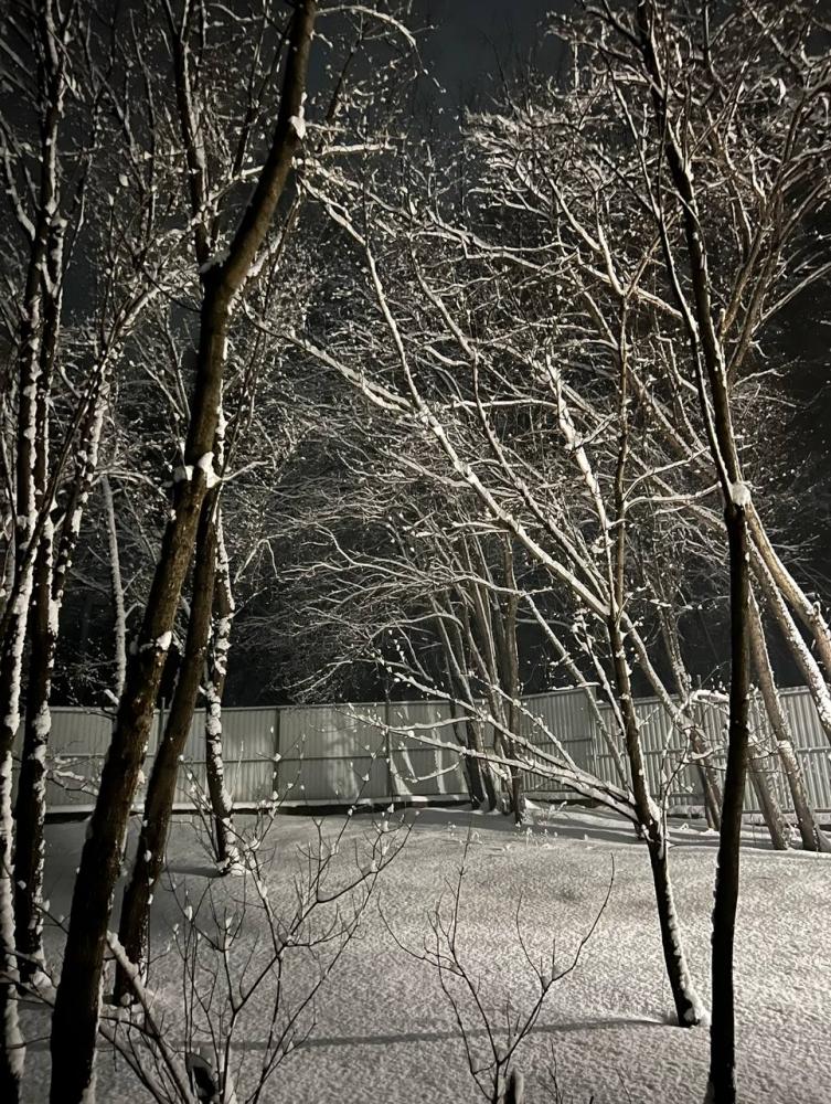 Отдых на Алтае зимой