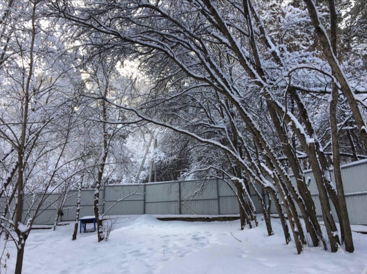 Зимний отдых на Алтае 2026