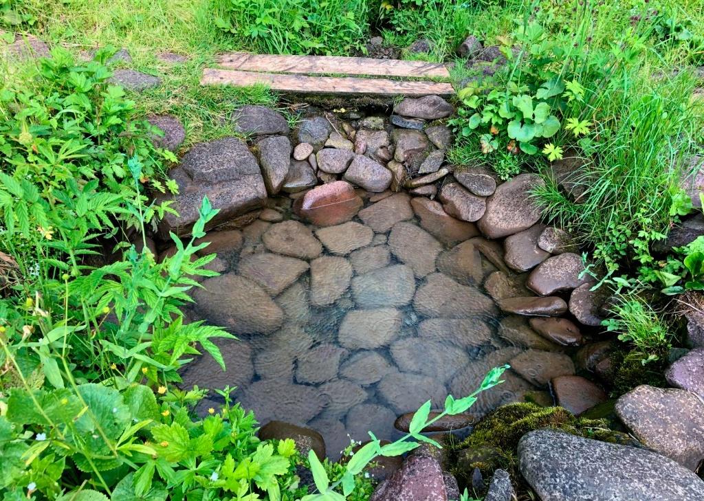 Экскурсия на исчезающий источник на Телецком озере