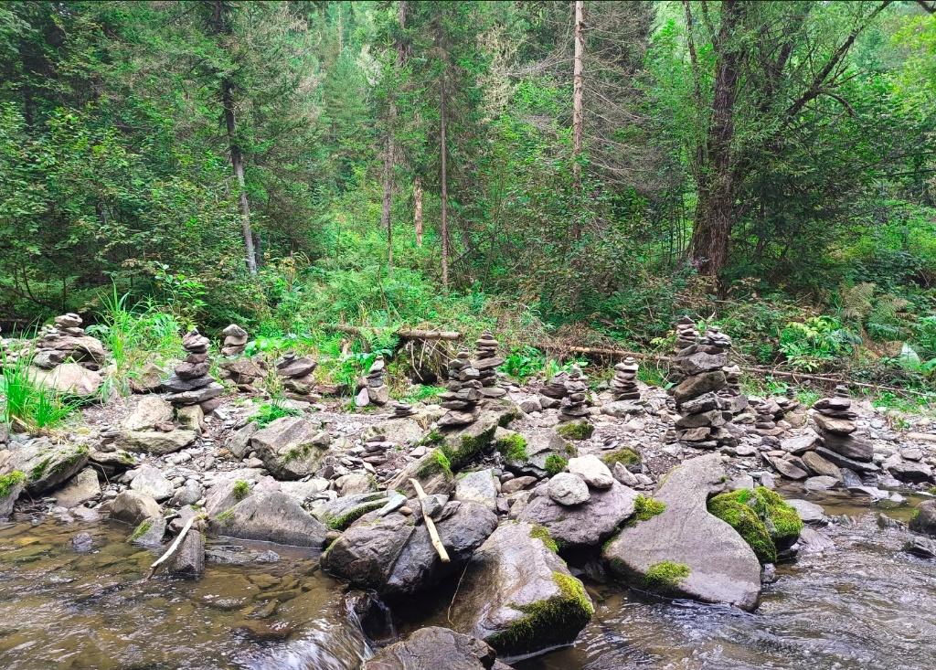 Экскурсия на водопад Третья речка на Телецком озере