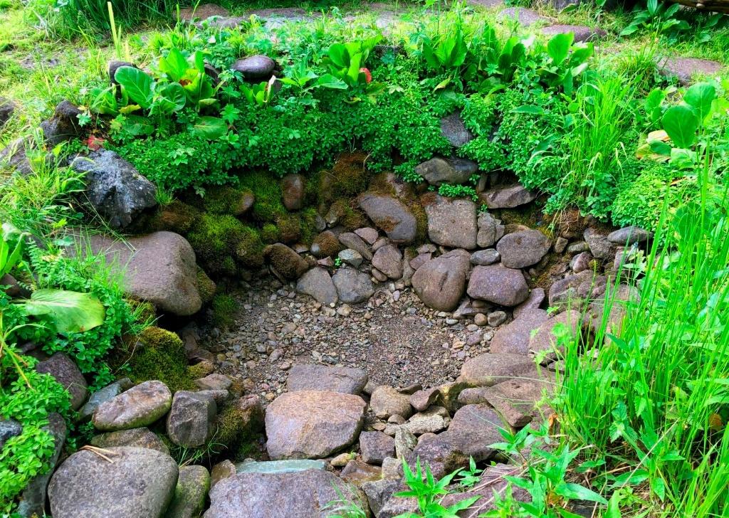 Экскурсия на исчезающий источник на Телецком озере