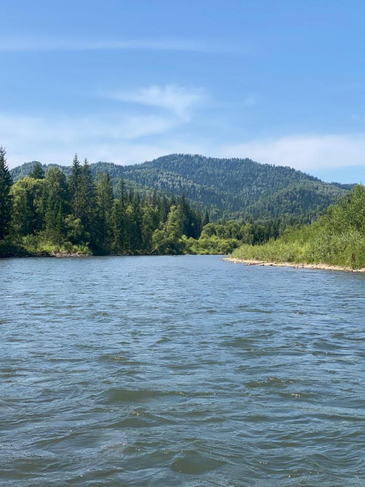 Сплав на Алтае по реке Пыжа экскурсия из Артыбаша