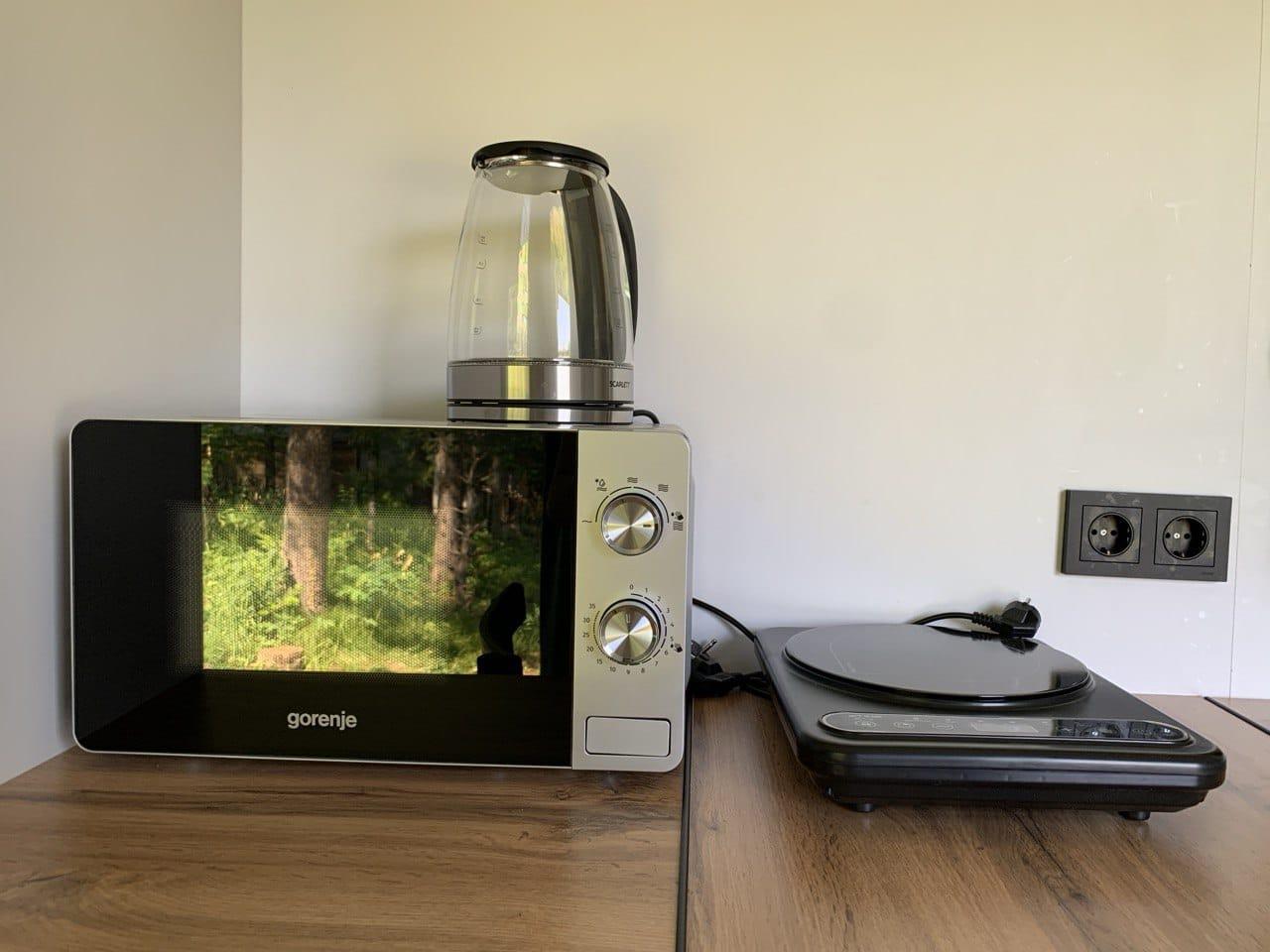 Дом на двоих в Артыбаше на Телецком озере