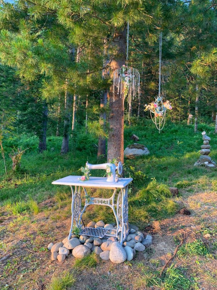 Парковая зона хвойный лес на территориии