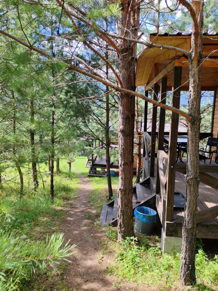 Беседка в лесу