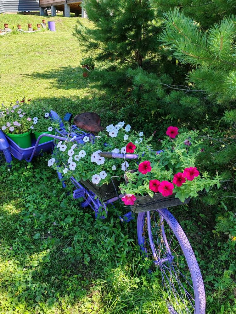 Шале в Горном Алтае на усадьбе "АртСвет" Чемальский район