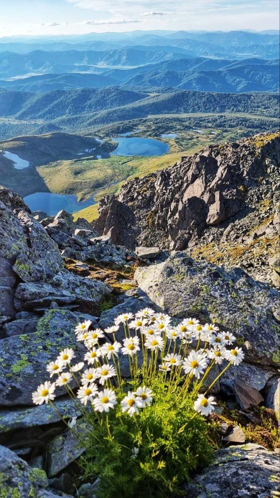 Озера в Горном Алтае в 40 км от села Амур