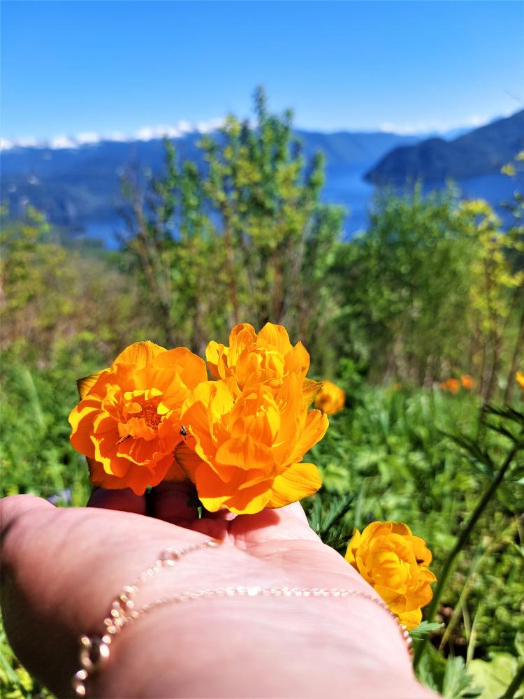 Огоньки кругом