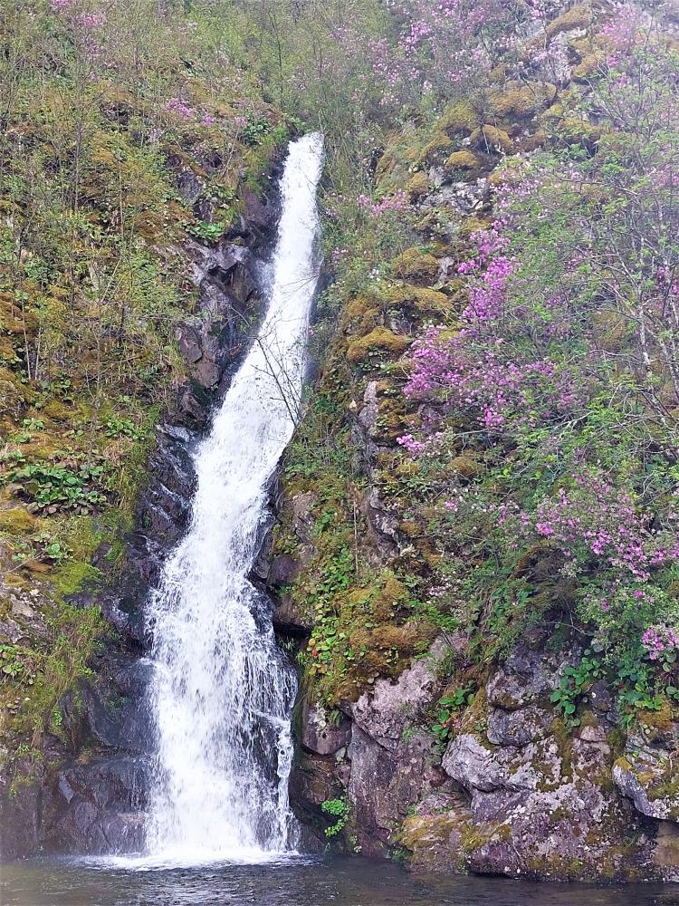 Весенние водопады на Телецком