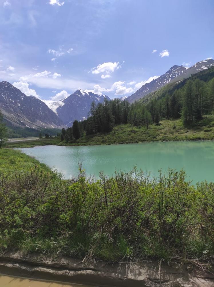 Заброска на Актру к ледникам и в альплагерь из Курая и Акташа