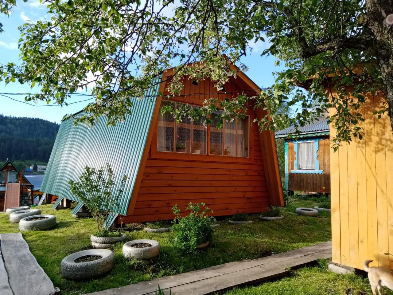 Усадьба "Березка" берег Телецкого озера на Алтае