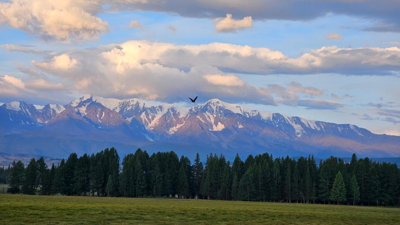 Южно-Чуйский хребет на Алтае экскурсии