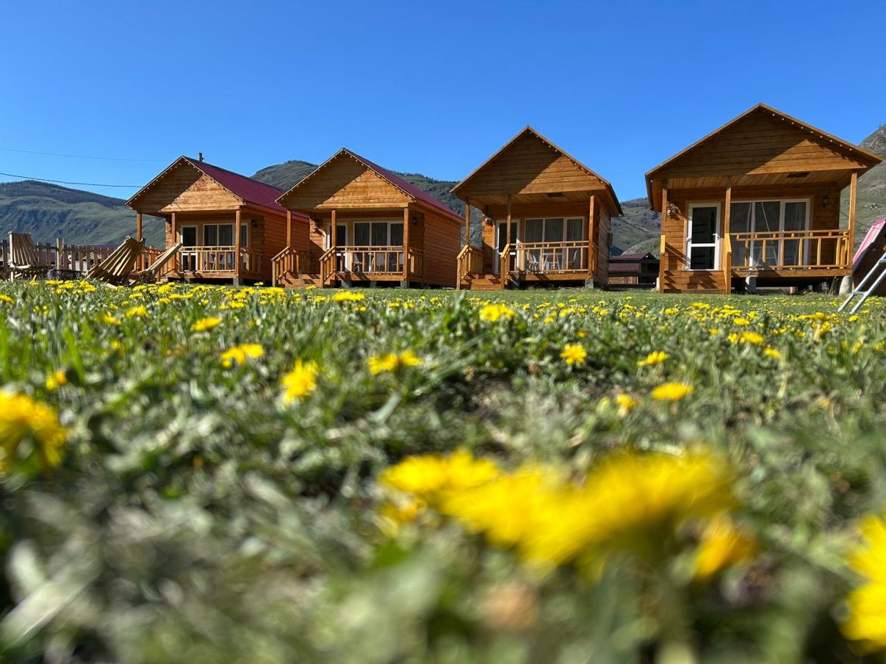 База отдыха Горный Бриз Акташ Алтай