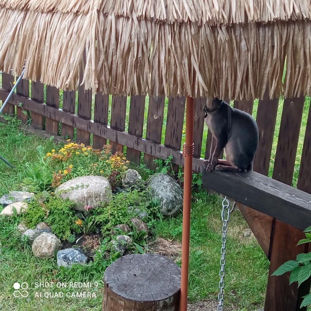 Спрятался от дождя