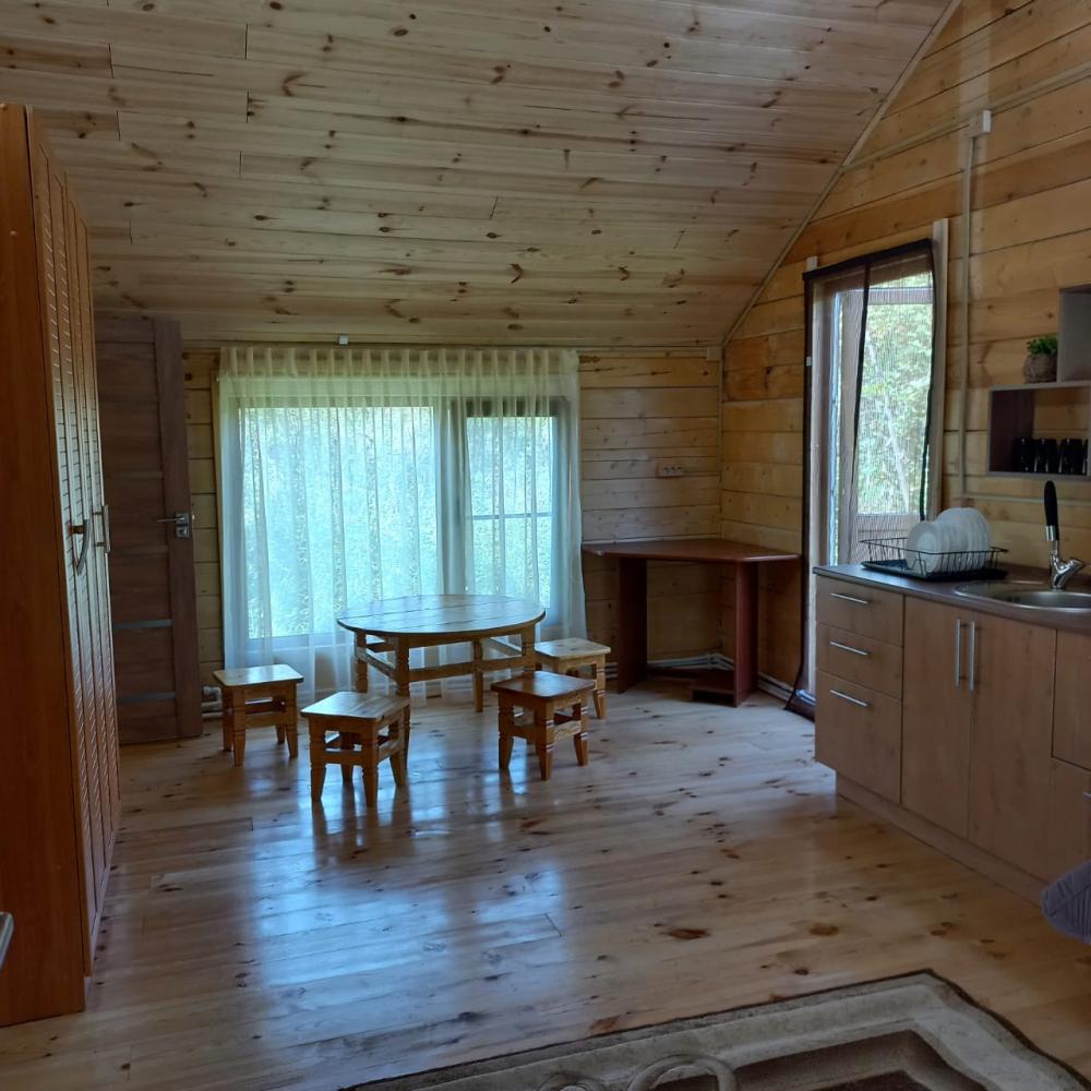 Дом в саду кухонная зона