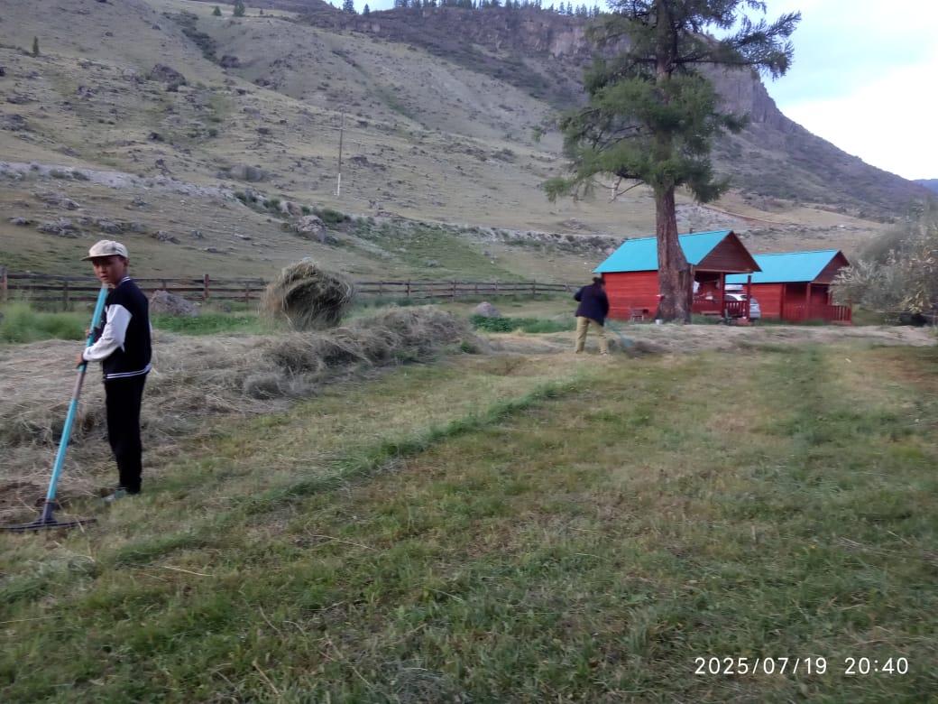 Уборка сена