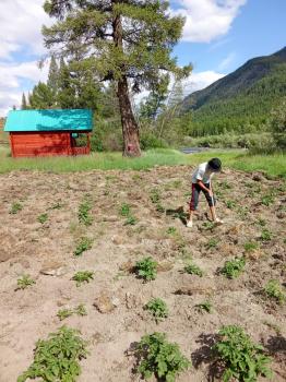 Агротуризм