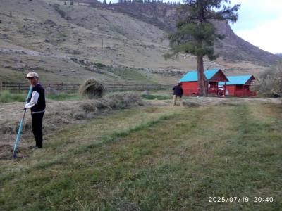 Уборка сена